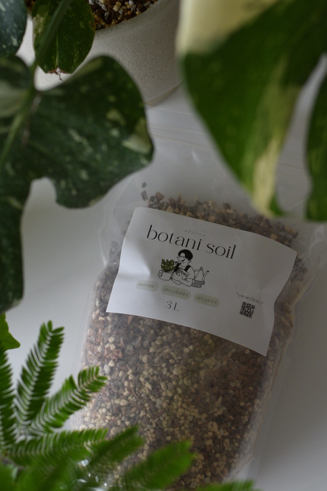 botani soil の商品